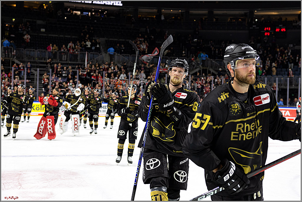 PENNY DEL;  Kölner Haie - ERC Ingolstadt; Köln, 25.11.2022